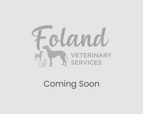 Coming-Soon-square-updated Coming Soon square updated