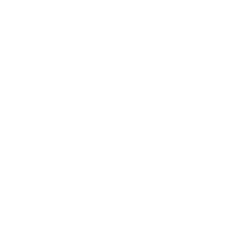 dog imaging
