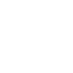 elizabethan collar icon