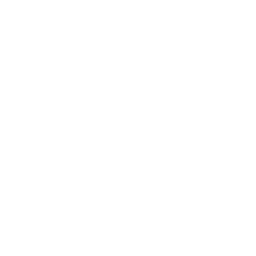 ultrasound icon